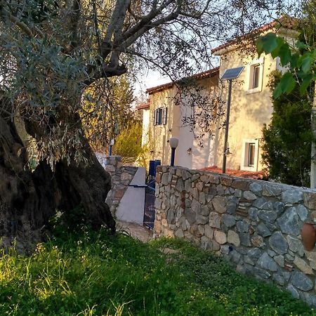 9 Musses Hotel Apartments Skala Mistegnon Екстериор снимка